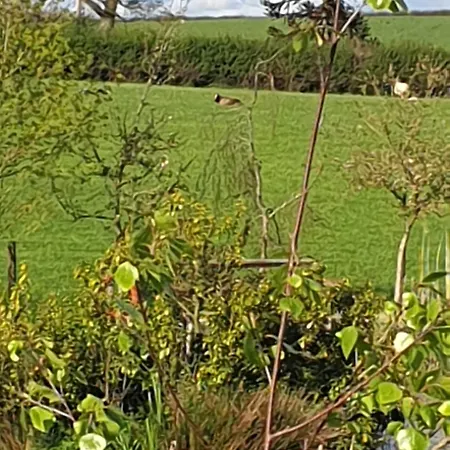 Kemping Country View Launceston